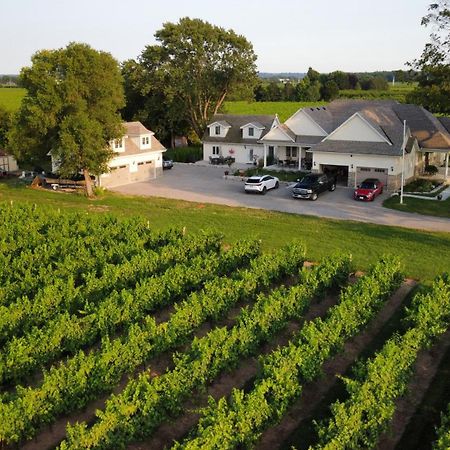 Villa In The Vines Niagara-on-the-Lake Dış mekan fotoğraf