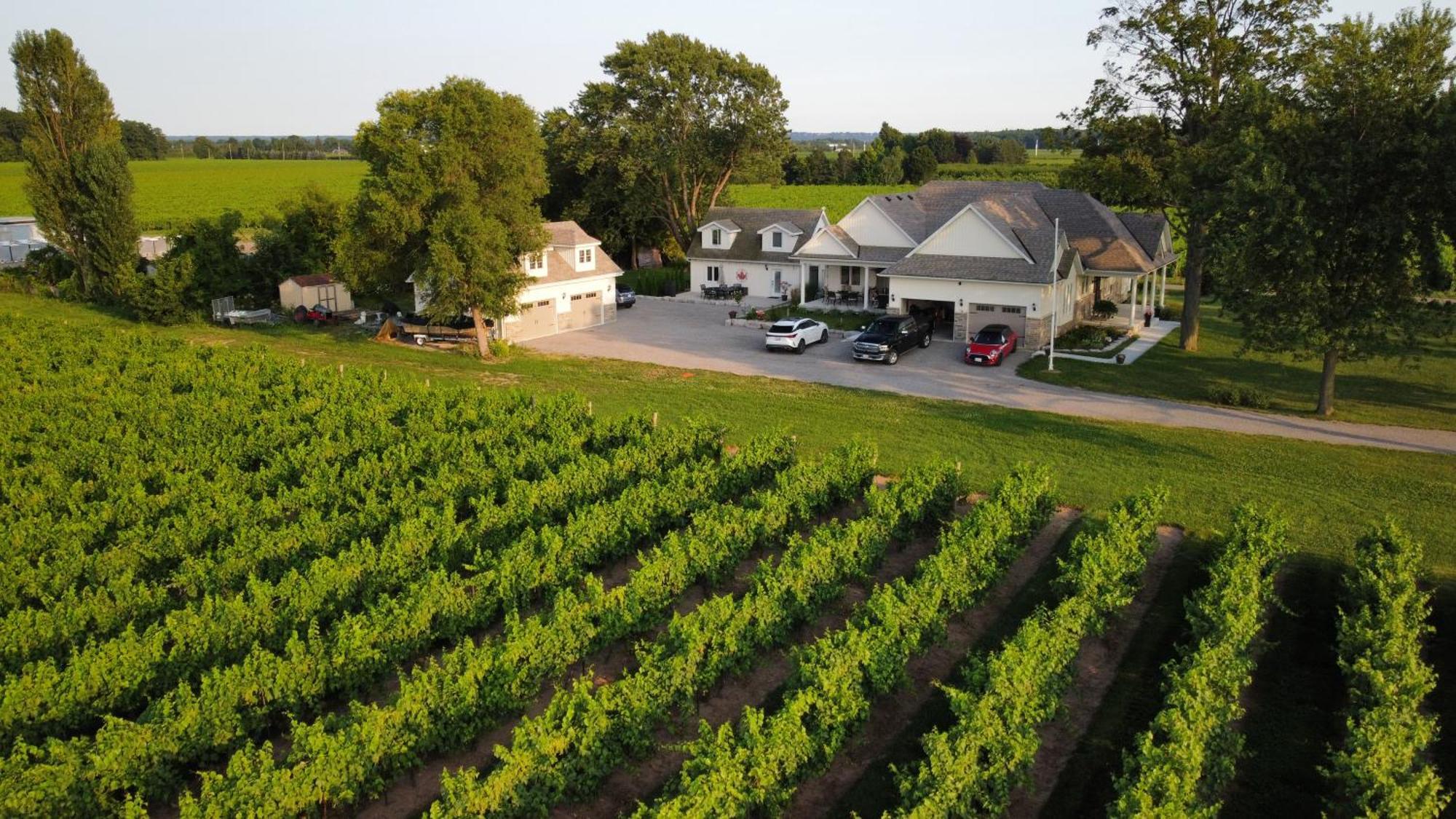 Villa In The Vines Niagara-on-the-Lake Dış mekan fotoğraf